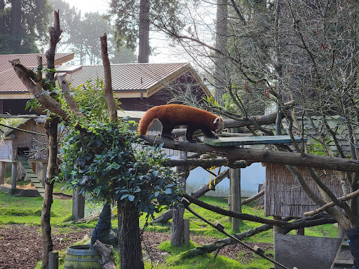 Zoo «Sequoia Park Zoo», reviews and photos, 3414 W St, Eureka, CA 95503, USA