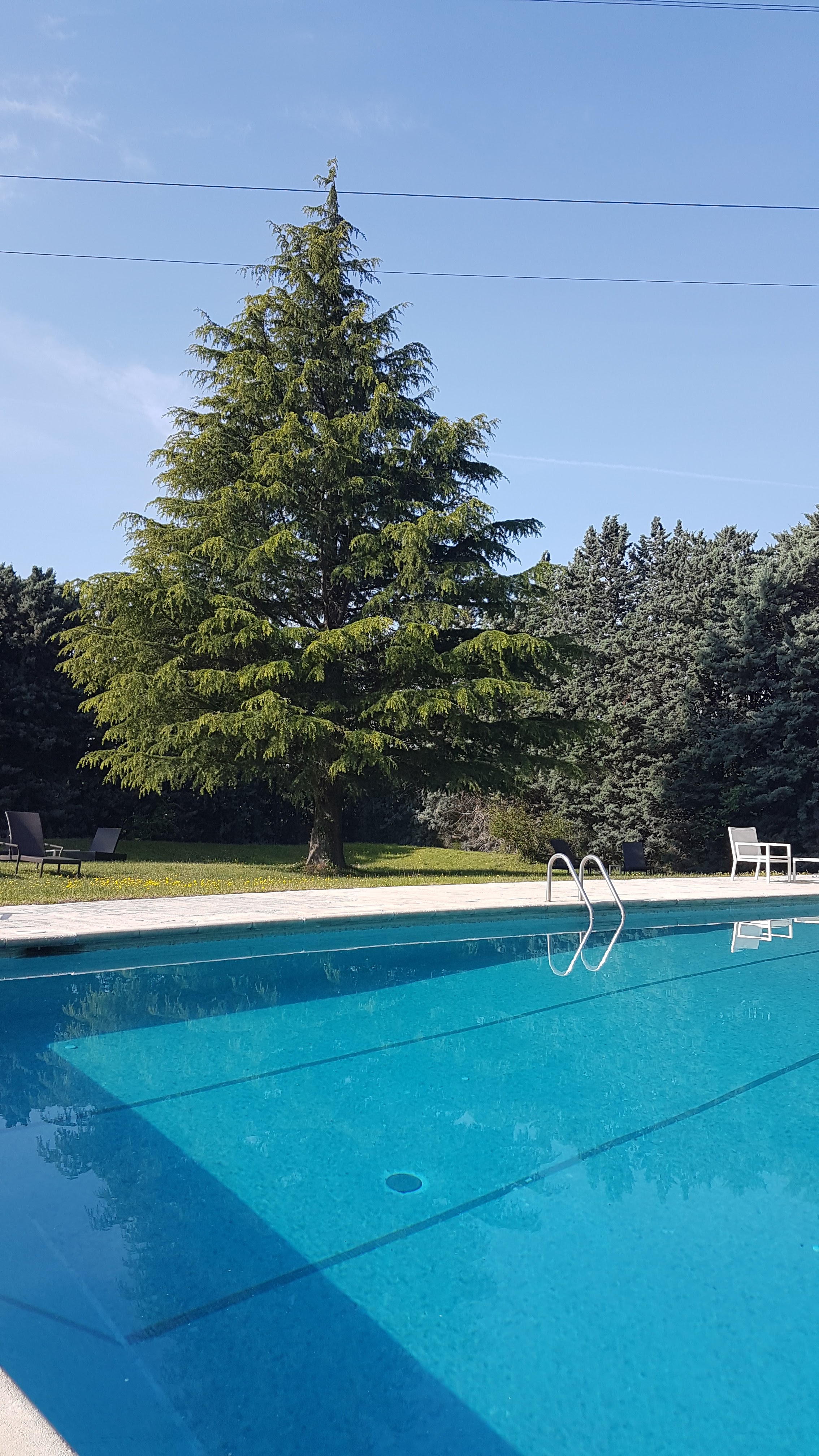 Photo n° 4 de l'avis de sandy.a fait le 22/04/2019 à 08:33