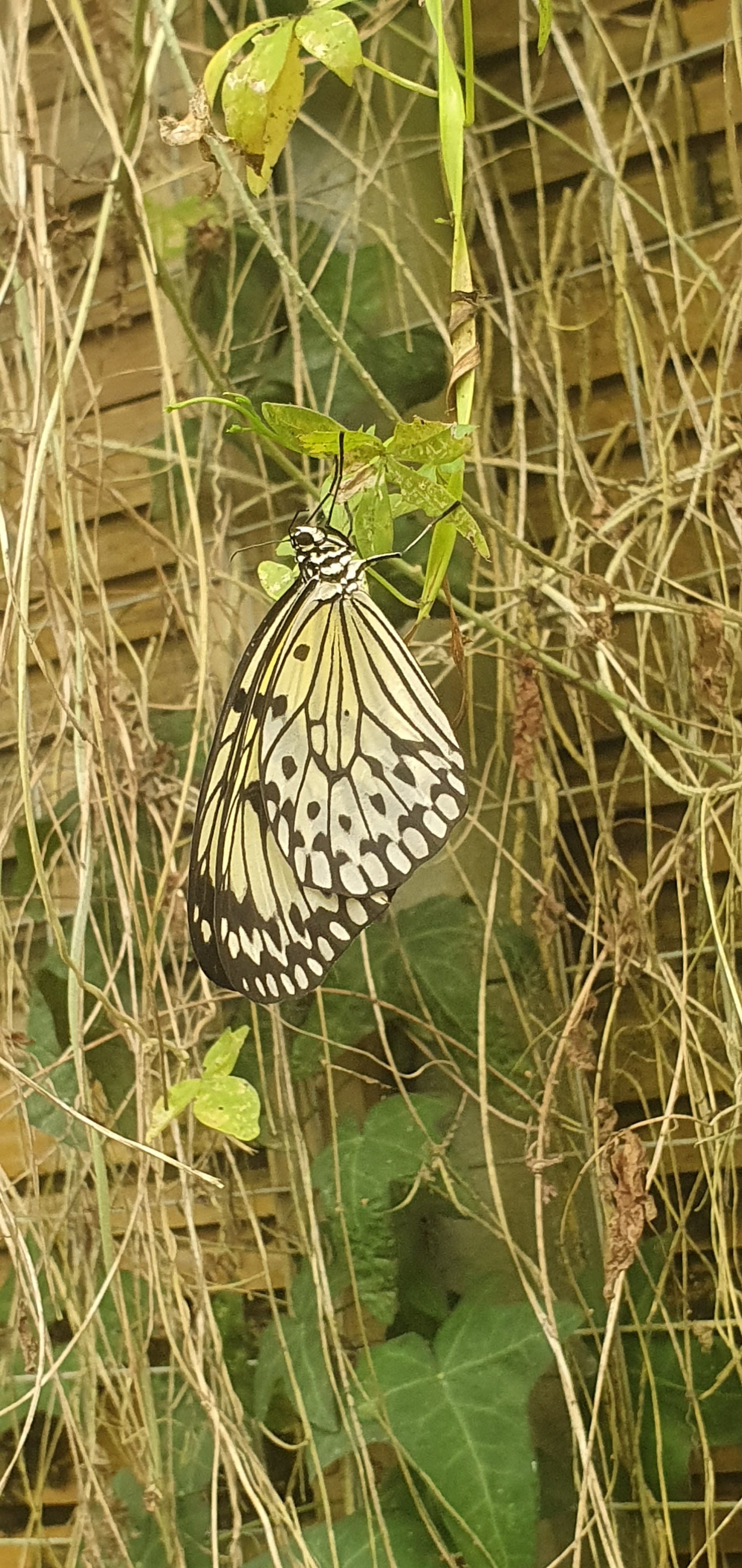 Photo n° 2 de l'avis de estelle.e fait le 02/08/2023 à 17:41