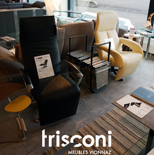 trisconi-meubles.ch