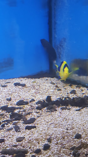 Wonderworld Aquarium & Pet Centre Open Times