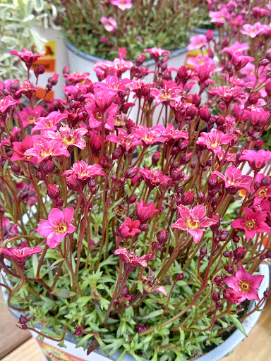 Home Improvement Store «The Home Depot», reviews and photos, 902 Murray Rd, East Hanover, NJ 07936, USA