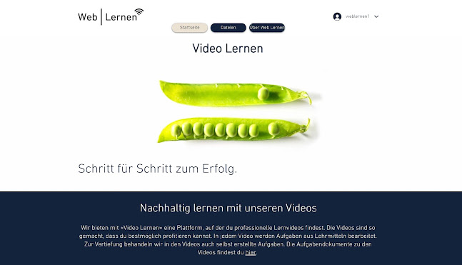 Video Lernen - Sprachschule