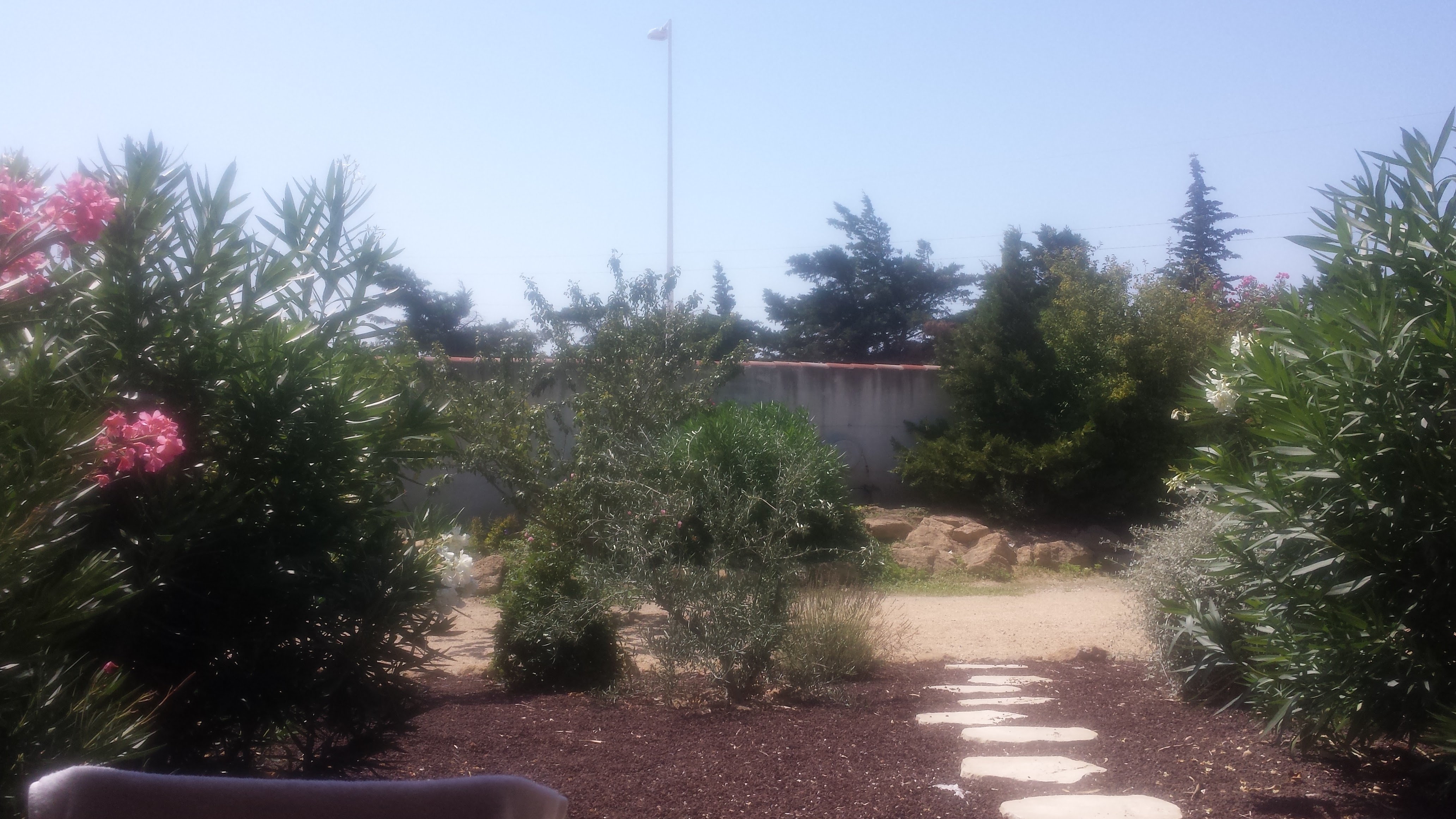 Photo n° 3 de l'avis de Alcino.r fait le 25/08/2017 à 07:54