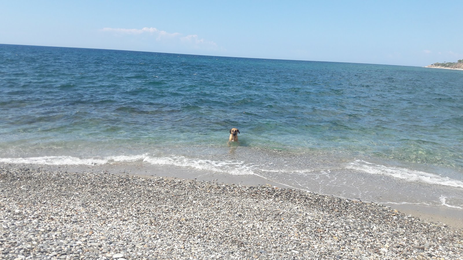 Marmaritsa beach'in fotoğrafı turkuaz saf su yüzey ile