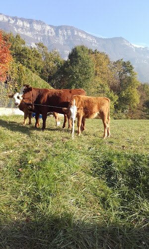 Point relais colis PICKUP E.Leclerc  Voglans