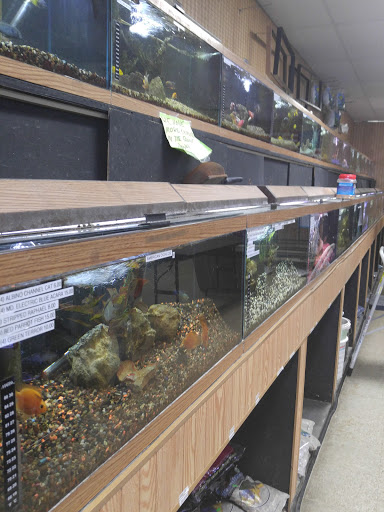 Pet Store «Birds & Beasts Pet Shop», reviews and photos, 35 Berkshire Dr # 18, Crystal Lake, IL 60014, USA