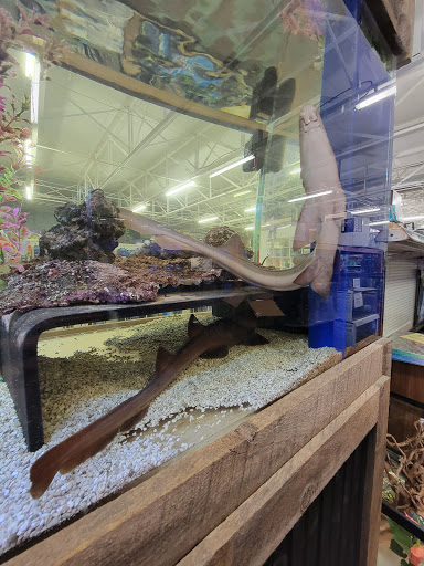 Pet Store «The Pet Zone», reviews and photos, 20 W Oak St, Pittston, PA 18640, USA