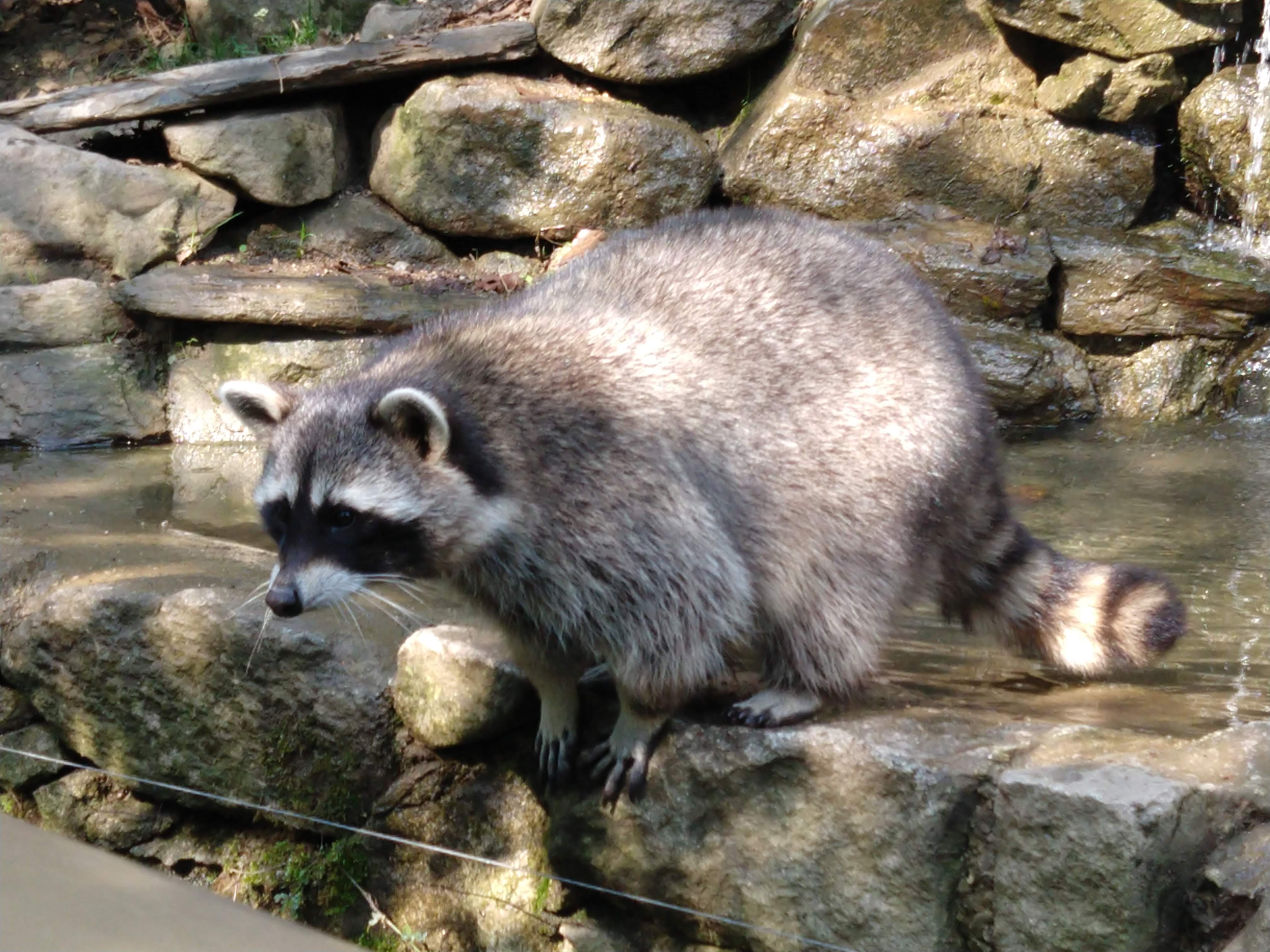 Photo n° 3 de l'avis de Mp. fait le 14/08/2018 à 10:17