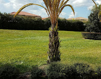 Heavenly Landscaping & Lawn - Photo 7 - Car repair in , Orlando