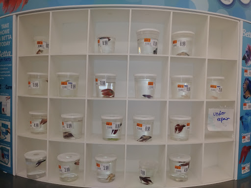 Pet Supply Store «Pet Supplies Plus», reviews and photos, 2801 Wade Hampton Blvd #100, Taylors, SC 29687, USA