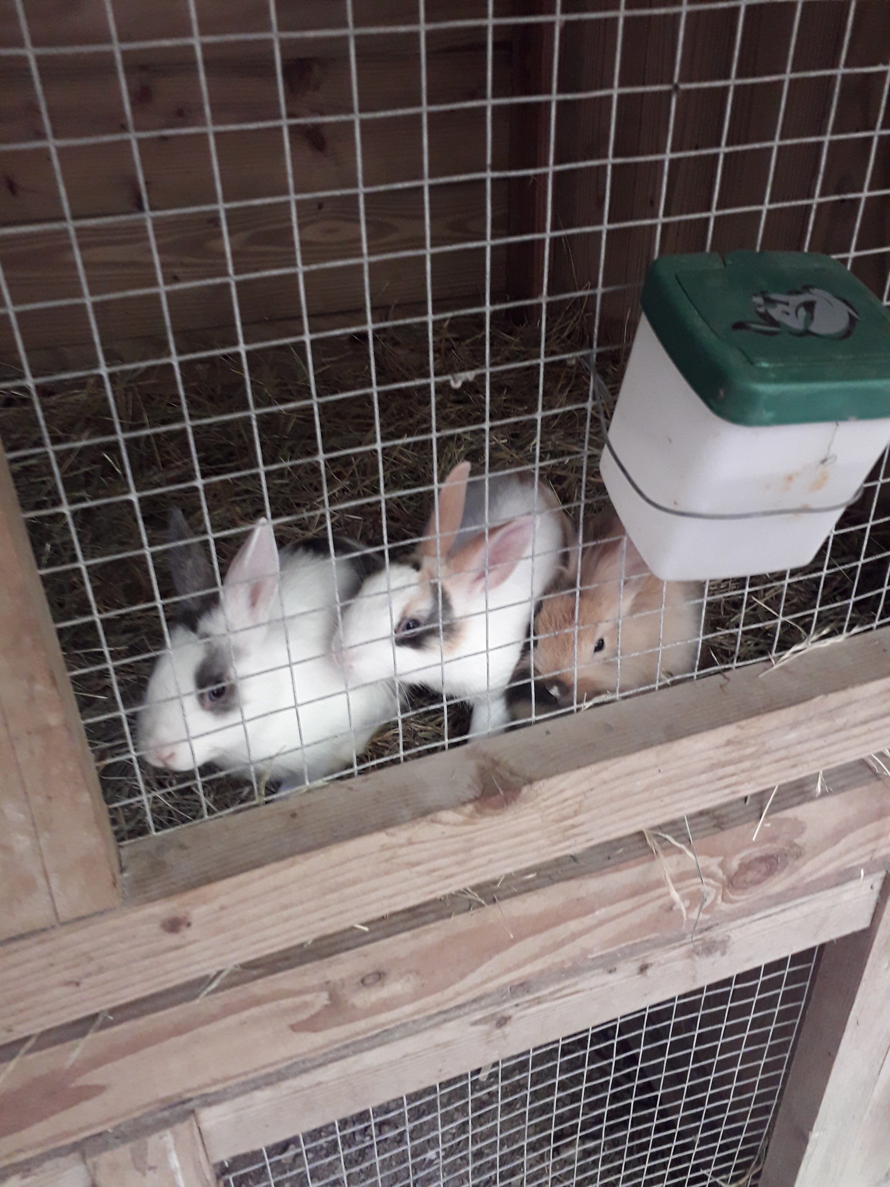 Photo n° 19 de l'avis de Franck.i fait le 19/07/2020 à 15:45