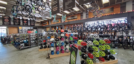 Jax Bicycle Center image