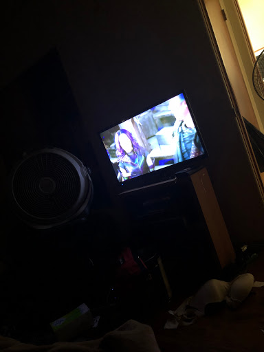 Pet Supply Store «Pet Supplies Plus», reviews and photos, 311 Sagamore Pkwy N, Lafayette, IN 47904, USA