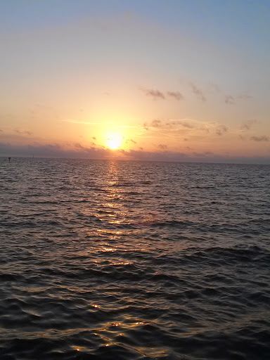 Department Store «Walmart Supercenter», reviews and photos, 9205 Gibsonton Dr, Gibsonton, FL 33534, USA