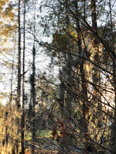 Country Club «Palma Ceia Golf & Country Club», reviews and photos, 1601 S MacDill Ave, Tampa, FL 33629, USA