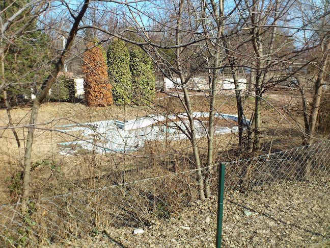 Opinii despre Régi Kristály fürdő în Tata - Gyógyfürdő