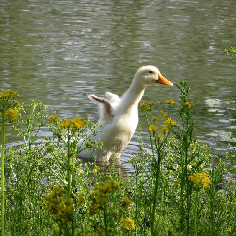 Riverside Park