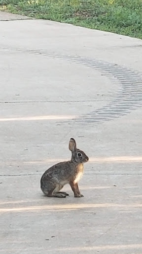 Park «Nani Falcone Community Park», reviews and photos, 7625 Mystic Park, San Antonio, TX 78254, USA