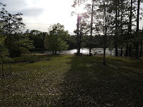 Oakmere Kennels - Photo 3 - Car repair in Biloxi, MS, Gulfport