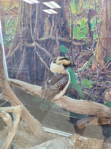 Bird Shop «Arizona Bird Store», reviews and photos, 565 S Dobson Rd, Mesa, AZ 85202, USA