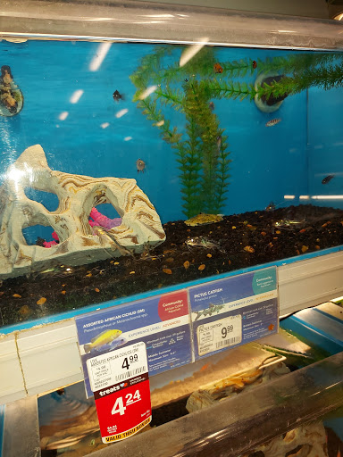 Pet Supply Store «PetSmart», reviews and photos, 162 S Gary Ave, Bloomingdale, IL 60108, USA