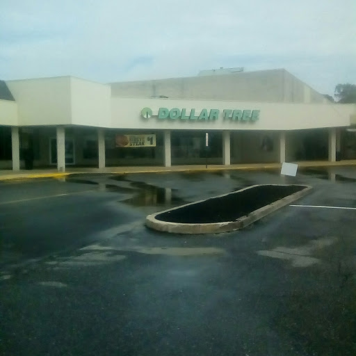 Dollar Store «Dollar Tree», reviews and photos, 781 Delsea Dr #26, Glassboro, NJ 08028, USA