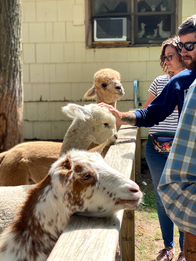 Boutique «Crystal Lake Alpaca Farm and Boutique», reviews and photos, 4907 River Rd, Frankfort, MI 49635, USA