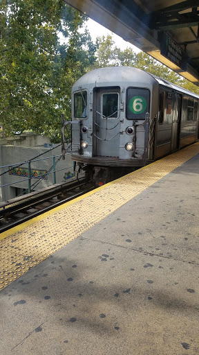 Pet Store «Petland Discounts - Parkchester», reviews and photos, 1949 Westchester Ave, Bronx, NY 10462, USA