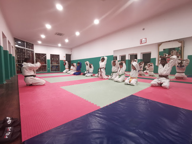 Judo, escola de judo da SFOA