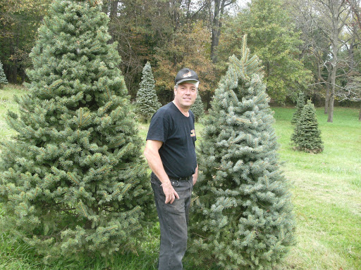 Rauh Christmas Tree Farm