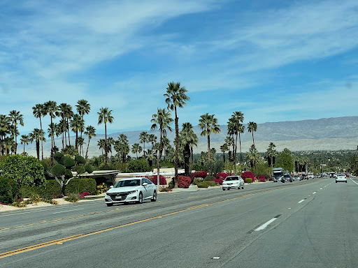 Consignment Shop «Revivals», reviews and photos