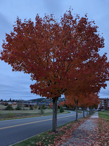 Shopping Mall «Grand Ridge Plaza», reviews and photos, 1451 Highlands Dr NE, Issaquah, WA 98029, USA