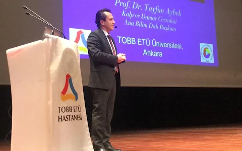 Prof. Dr. Tayfun Aybek image