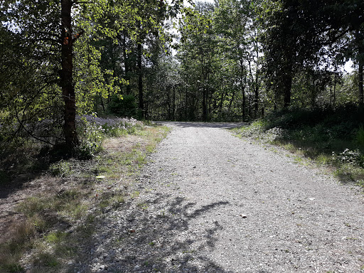 Golf Course «Riverside Disc Golf Course», reviews and photos, 7926 Riverside Rd E, Sumner, WA 98390, USA