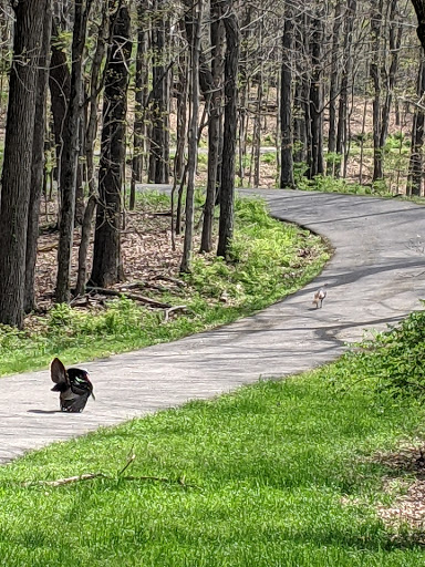 Park «Percy Warner Park», reviews and photos, 7311 Tennessee 100, Nashville, TN 37221, USA