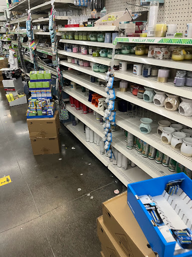 Dollar Store «Dollar Tree», reviews and photos, 20617 Bothell Everett Hwy a, Bothell, WA 98012, USA