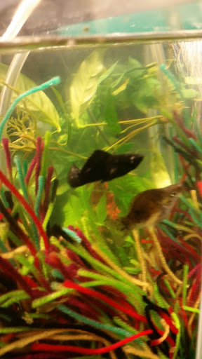 Pet Supply Store «Pet Supplies Plus», reviews and photos, 34370 Aurora Rd, Solon, OH 44136, USA