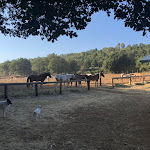 Photo n° 2 de l'avis de Nathalie.E fait le 25/08/2023 à 13:01 pour les Chevaux du Verdon à Artignosc-sur-Verdon