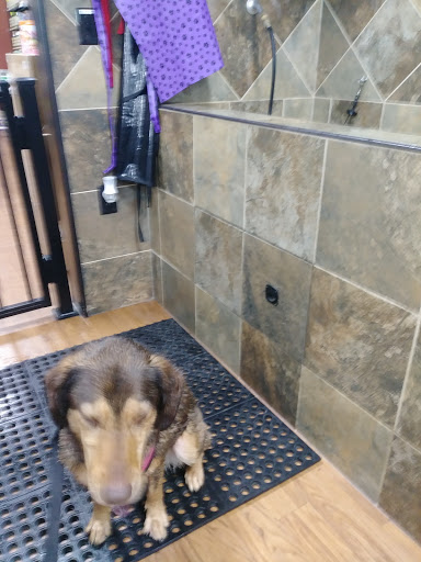 Pet Supply Store «Pet Valu», reviews and photos, 200 Biggs Blvd, Harrison, OH 45030, USA