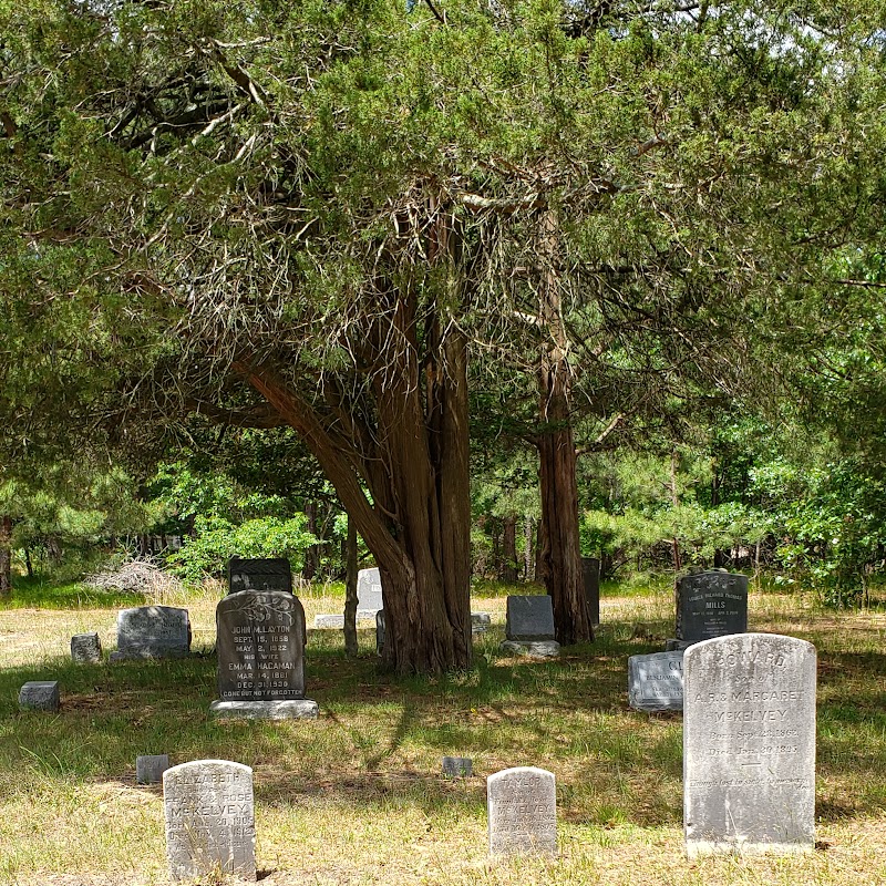 Sliverton cemetery