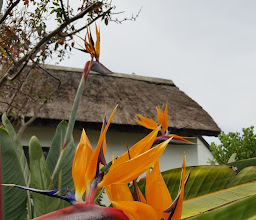 Rhodes Cottage Museum photo