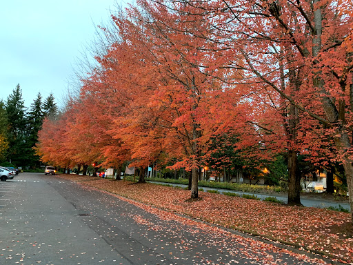 Community Center «North Bellevue Community Center», reviews and photos, 4063 148th Ave NE, Bellevue, WA 98007, USA