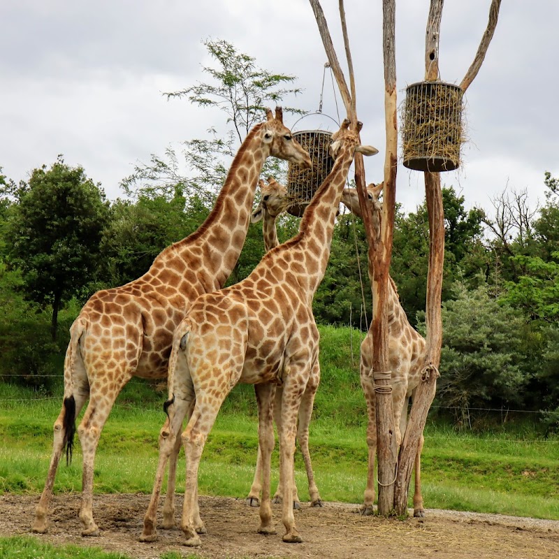 Parc zoologique de Plaisance du Touch