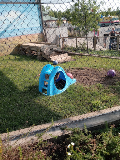 Water Park «Zoombezi Bay», reviews and photos, 10101 Riverside Dr, Powell, OH 43065, USA