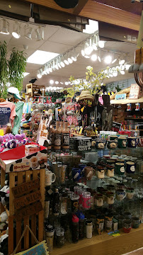 Just Horse'n Around - Photo 3 - Car repair in Myrtle Beach, SC, Myrtle Beach