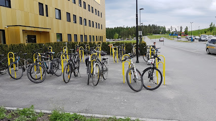 Sykkelparkering