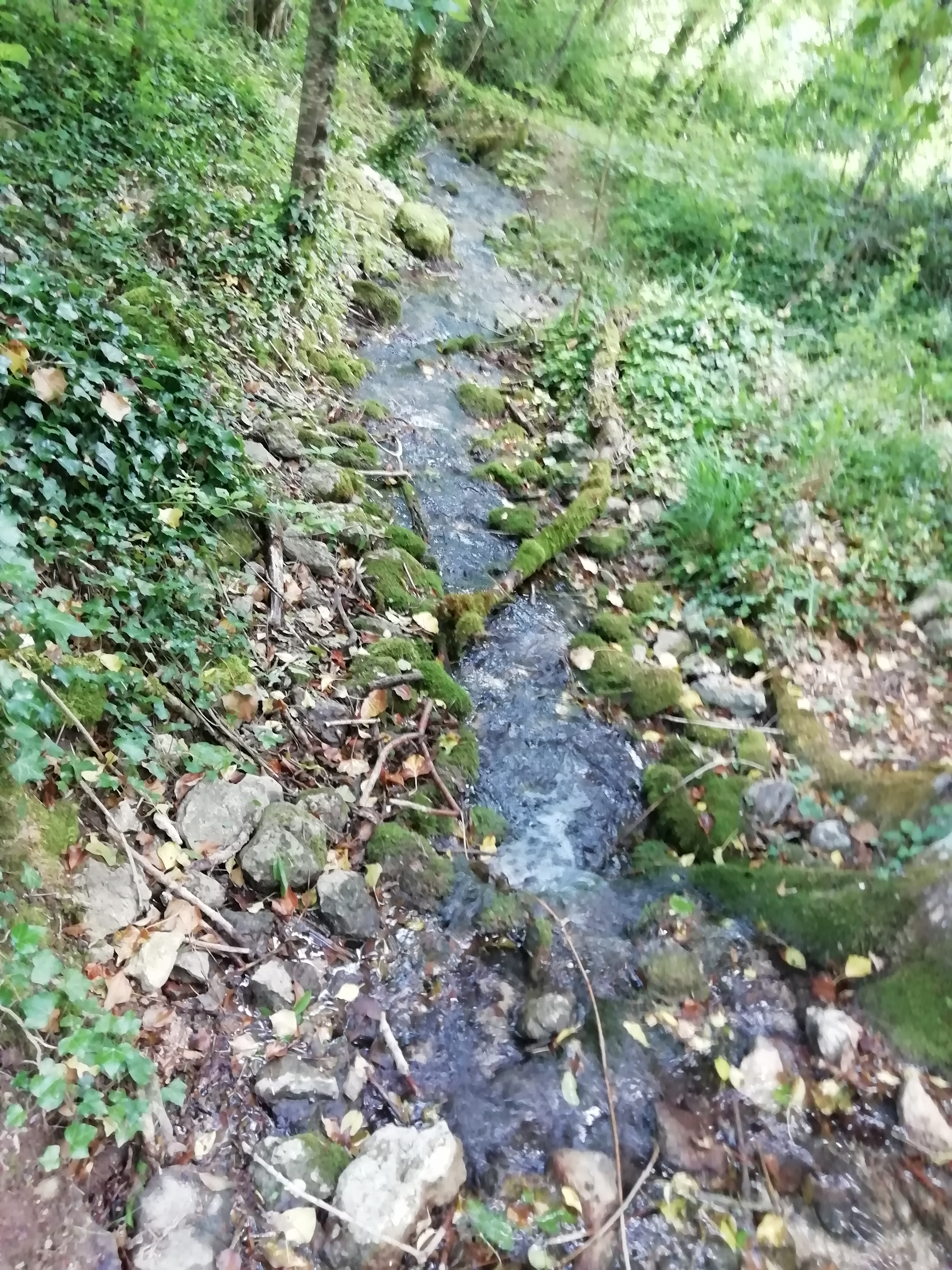 Photo n° 2 de l'avis de Aurelie. fait le 23/06/2019 à 09:53