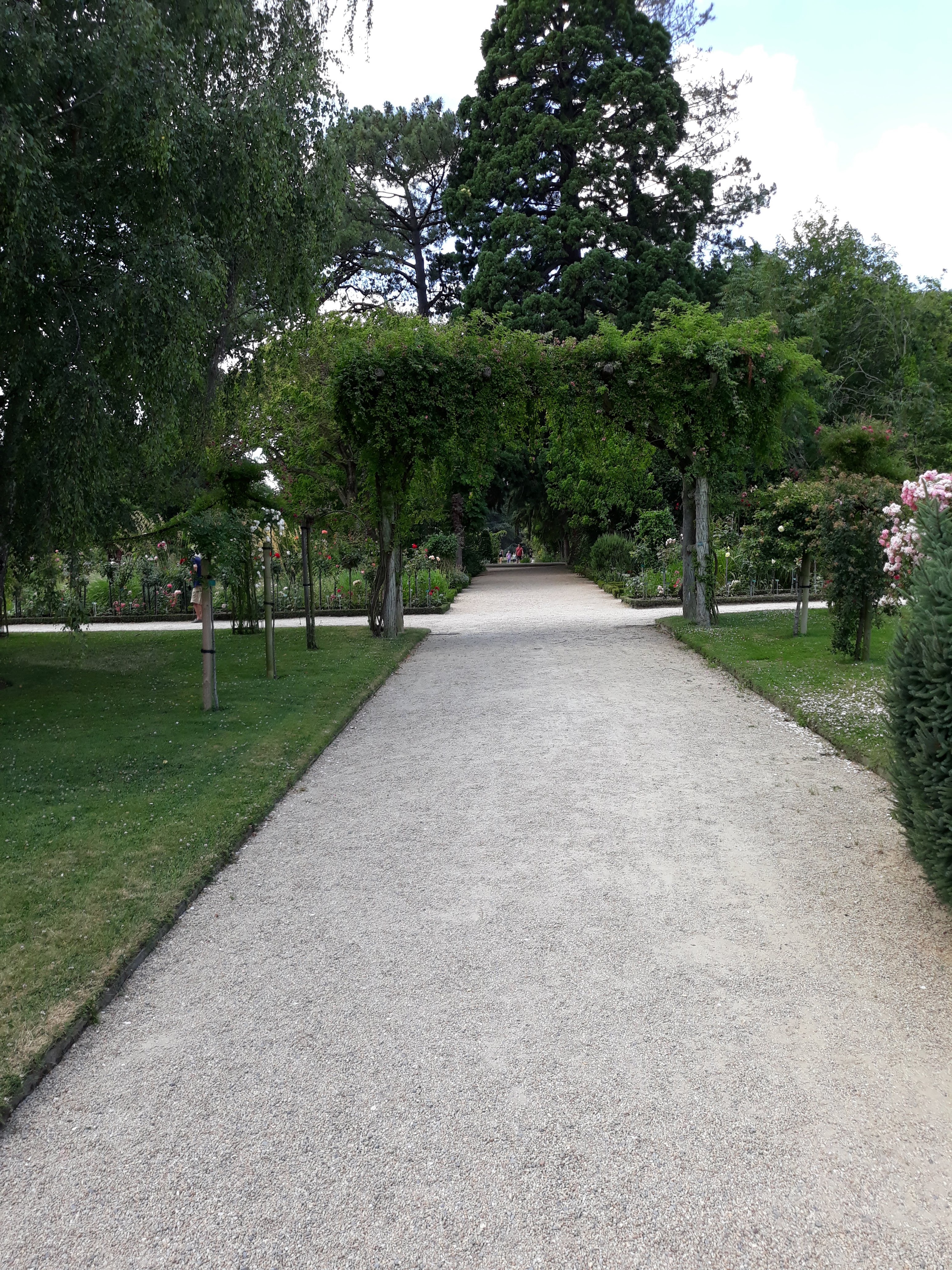 Photo n° 15 de l'avis de Thomas.e fait le 14/07/2019 à 16:51