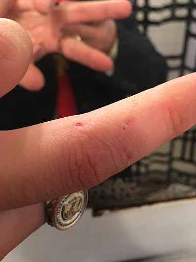 Furniture Store «Modern Furniture Store Los Angeles Modani», reviews and photos, 8873 Sunset Blvd, West Hollywood, CA 90069, USA